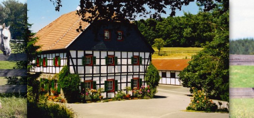 Alemich